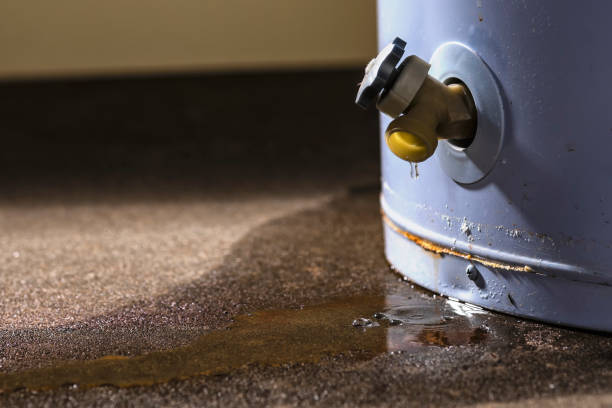 Best Water damage restoration cost  in Butler, MO