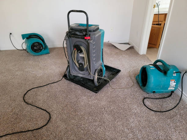 Best Flood restoration services  in Butler, MO