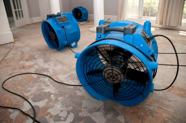 Best Commercial water damage restoration  in Butler, MO