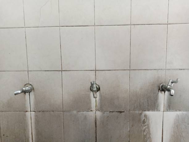Best Fire Damage Restoration  in Butler, MO